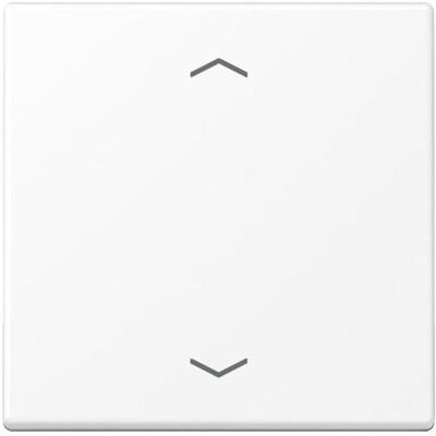 JUNG, Accessoires Gamme d'interrupteurs, Bascule Jalousie A schn-ws mt flèches A101PBFWWM - Publicité JUNG, Accessoires Gamme d'interrupteurs, Bascule Jalousie A schn-ws mt flèches A101PBFWWM - Publicité