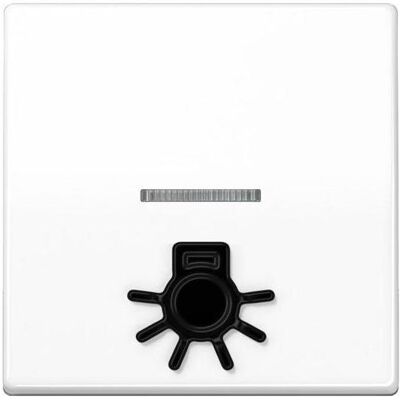JUNG, Accessoires Gamme d'interrupteurs, Bascule de contrôle Interrupteur AS aws glz lumière AS591L1KO5WW - Publicité JUNG, Accessoires Gamme d'interrupteurs, Bascule de contrôle Interrupteur AS aws glz lumière AS591L1KO5WW - Publicité