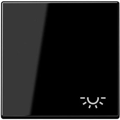 JUNG, Accessoires Gamme d'interrupteurs, Bascule Interrupteur A sw glz lumière A590LSW - Publicité JUNG, Accessoires Gamme d'interrupteurs, Bascule Interrupteur A sw glz lumière A590LSW - Publicité