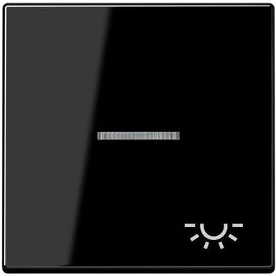 JUNG, Accessoires Gamme d'interrupteurs, Bascule 1t interrupteur A sw glz sonnette A590KO5LSW - Publicité JUNG, Accessoires Gamme d'interrupteurs, Bascule 1t interrupteur A sw glz sonnette A590KO5LSW - Publicité