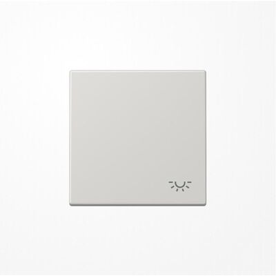 JUNG, Accessoires Gamme d'interrupteurs, Bascule interrupteur LS lgr glz lumière LS990LLG - Publicité JUNG, Accessoires Gamme d'interrupteurs, Bascule interrupteur LS lgr glz lumière LS990LLG - Publicité