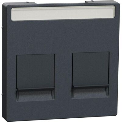Merten, Accessoires Gamme d'interrupteurs, Plaque centrale p. Modular Jack 2f. MEG4564-0414 - Publicité Merten, Accessoires Gamme d'interrupteurs, Plaque centrale p. Modular Jack 2f. MEG4564-0414 - Publicité