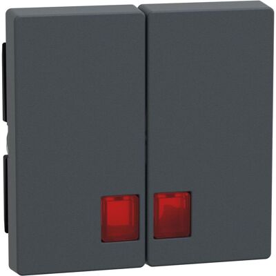 Merten, Accessoires Gamme d'interrupteurs, Bascule double avec fenêtre de symbole rouge, MEG3456-0414 - Publicité Merten, Accessoires Gamme d'interrupteurs, Bascule double avec fenêtre de symbole rouge, MEG3456-0414 - Publicité