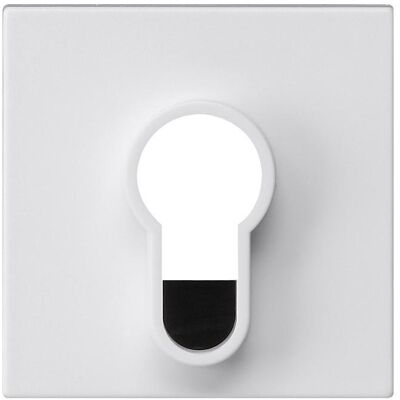 Gira, Accessoires Gamme d'interrupteurs, Interrupteur à clé/bouton-poussoir sans impression 866427 - Publicité Gira, Accessoires Gamme d'interrupteurs, Interrupteur à clé/bouton-poussoir sans impression 866427 - Publicité