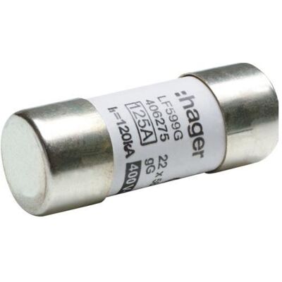Hager HAG LF599G Fusible 22x58 gG 125A, Accessoires électroniques + boîtier - Publicité Hager HAG LF599G Fusible 22x58 gG 125A, Accessoires électroniques + boîtier - Publicité