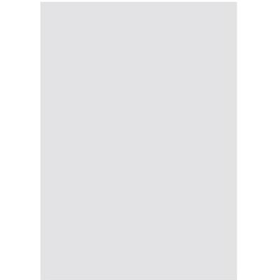 Gira - 579000 - PET feuille DIN A4 - Tastsensor 4 System 55 - Feuilles étiquettes - Publicité Gira - 579000 - PET feuille DIN A4 - Tastsensor 4 System 55 - Feuilles étiquettes - Publicité