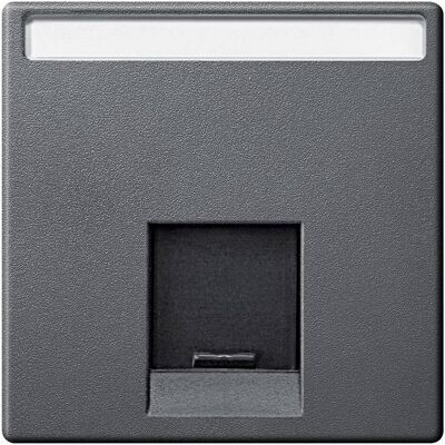 Merten, Accessoires Gamme d'interrupteurs, Plaque centrale UAE/IAE 1f Système M anth MEG4573-0414 - Publicité Merten, Accessoires Gamme d'interrupteurs, Plaque centrale UAE/IAE 1f Système M anth MEG4573-0414 - Publicité
