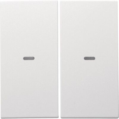 Berker, Accessoires Gamme d'interrupteurs, Bascule double avec lentille claire 80960399 S.1/B.3/B.7 polarws mat - Publicité Berker, Accessoires Gamme d'interrupteurs, Bascule double avec lentille claire 80960399 S.1/B.3/B.7 polarws mat - Publicité