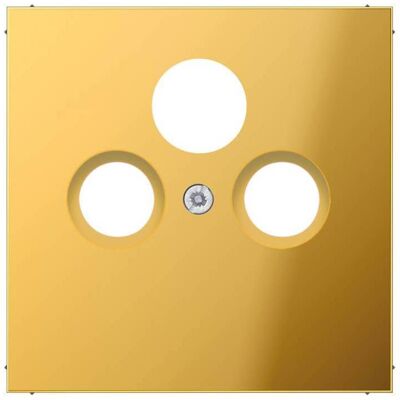 JUNG, Accessoires Gamme d'interrupteurs, Plaque centrale Sat/TV/Radio LS go glz GO2990SAT - Publicité JUNG, Accessoires Gamme d'interrupteurs, Plaque centrale Sat/TV/Radio LS go glz GO2990SAT - Publicité
