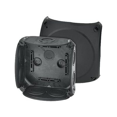 Hensel Boîte de jonction, Boîte de dérivation pour installations intérieures noire IP66 avec presse-étoupes à membrane DK - Publicité Hensel Boîte de jonction, Boîte de dérivation pour installations intérieures noire IP66 avec presse-étoupes à membrane DK - Publicité