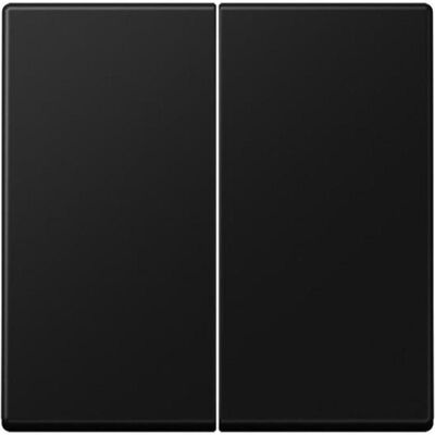 JUNG, Accessoires Gamme d'interrupteurs, Bascule pour interrupteur de série A595SWM noir graphite mat - Publicité JUNG, Accessoires Gamme d'interrupteurs, Bascule pour interrupteur de série A595SWM noir graphite mat - Publicité