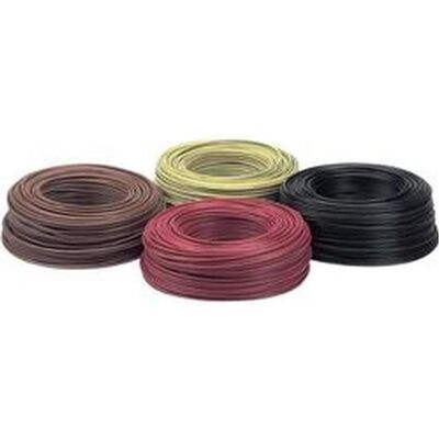 Lapp, Câble électrique, Toron H07V-K 1 x 2.50 mm² rouge (100 m) - Publicité Lapp, Câble électrique, Toron H07V-K 1 x 2.50 mm² rouge (100 m) - Publicité