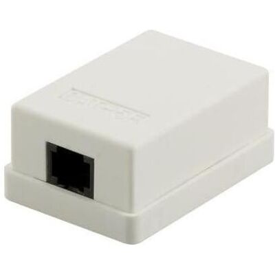 OEM, Accessoires Gamme d'interrupteurs, Dose Aufputz Cat. 5/ Class E einfach, ungeschirmt, 1 x 45RJ, Elfenbein - Publicité OEM, Accessoires Gamme d'interrupteurs, Dose Aufputz Cat. 5/ Class E einfach, ungeschirmt, 1 x 45RJ, Elfenbein - Publicité