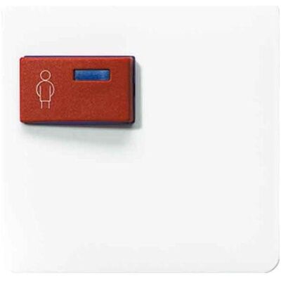 JUNG, Accessoires Gamme d'interrupteurs, Couverture clinique aws CD ZP glz CD071CWW - Publicité JUNG, Accessoires Gamme d'interrupteurs, Couverture clinique aws CD ZP glz CD071CWW - Publicité