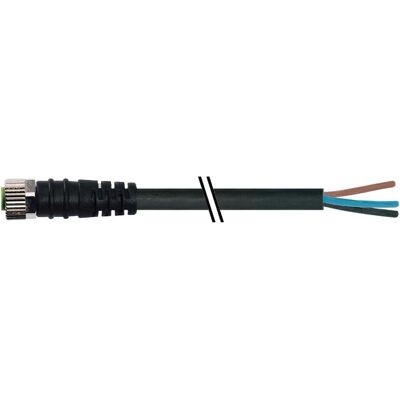 Murr Elektronik Connecteur femelle M8 extrémité Ltg libre 0° PVC 4x0.25 UL/CSA 10 m, Câble + prise électronique, Noir - Publicité Murr Elektronik Connecteur femelle M8 extrémité Ltg libre 0° PVC 4x0.25 UL/CSA 10 m, Câble + prise électronique, Noir - Publicité