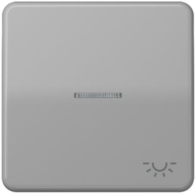 JUNG, Accessoires Gamme d'interrupteurs, Bascule de contrôle Interrupteur CD lgr glz lumière CD590KO5LGR - Publicité JUNG, Accessoires Gamme d'interrupteurs, Bascule de contrôle Interrupteur CD lgr glz lumière CD590KO5LGR - Publicité