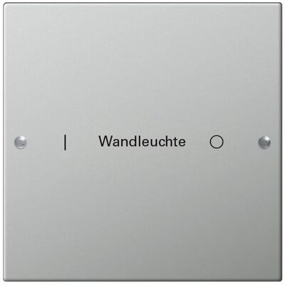 Gira, Accessoires Gamme d'interrupteurs, Kit de bascule 1p, système 55, acier inoxydable 2131602 - Publicité Gira, Accessoires Gamme d'interrupteurs, Kit de bascule 1p, système 55, acier inoxydable 2131602 - Publicité