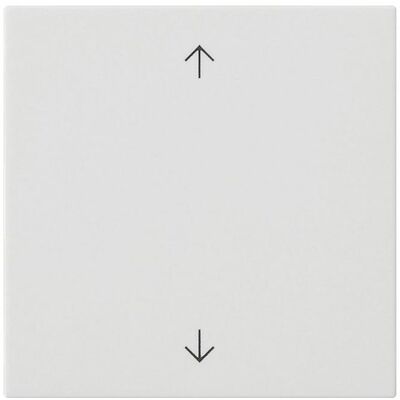Gira Bascule 1f flèches Système 55 blanc pur m 538927, Bouton + interrupteur, Blanc - Publicité Gira Bascule 1f flèches Système 55 blanc pur m 538927, Bouton + interrupteur, Blanc - Publicité