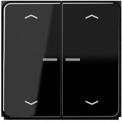 JUNG, Interrupteurs éclairage + volets électriques, BTCD17102PSW HOME Bouton-poussoir double - Publicité JUNG, Interrupteurs éclairage + volets électriques, BTCD17102PSW HOME Bouton-poussoir double - Publicité