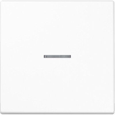 JUNG LS101KO5WW - Interrupteur simple, blanc alpin - Interrupteur - Publicité JUNG LS101KO5WW - Interrupteur simple, blanc alpin - Interrupteur - Publicité