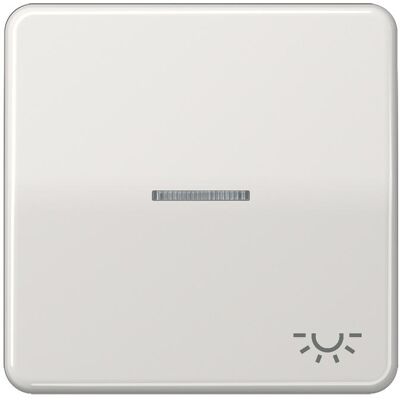 JUNG, Accessoires Gamme d'interrupteurs, Bascule de contrôle Interrupteur CD lgr glz lumière CD590KO5LLG - Publicité JUNG, Accessoires Gamme d'interrupteurs, Bascule de contrôle Interrupteur CD lgr glz lumière CD590KO5LLG - Publicité