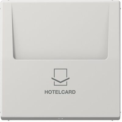 Jung LS 590 CARD Interrupteur de Carte Hôtel Gris Clair - Type Hôtel - Publicité Jung LS 590 CARD Interrupteur de Carte Hôtel Gris Clair - Type Hôtel - Publicité
