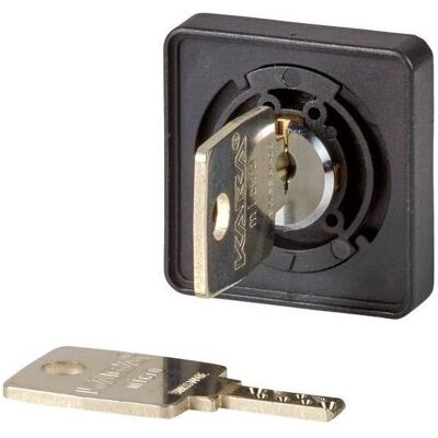 Élément Frontal Eaton pour Interrupteur TM, 45458, Bouton + Interrupteur, Argent - Type de produit - Publicité Élément Frontal Eaton pour Interrupteur TM, 45458, Bouton + Interrupteur, Argent - Type de produit - Publicité