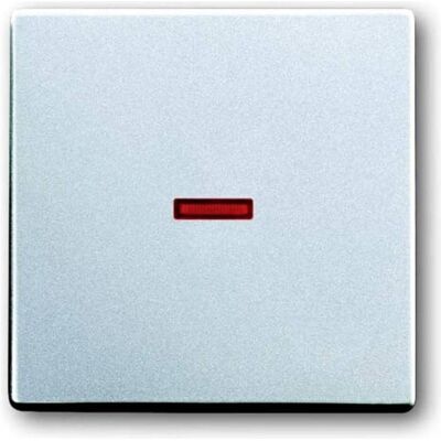 Busch-Jaeger Plaque de Couverture - Aluminium (RAL 9006) - IP20 - Publicité Busch-Jaeger Plaque de Couverture - Aluminium (RAL 9006) - IP20 - Publicité