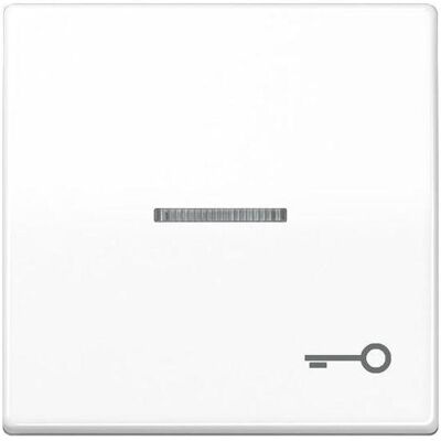 JUNG, Accessoires Gamme d'interrupteurs, Bascule de contrôle interrupteur AS aws glz AS591KO5TWW - Publicité JUNG, Accessoires Gamme d'interrupteurs, Bascule de contrôle interrupteur AS aws glz AS591KO5TWW - Publicité