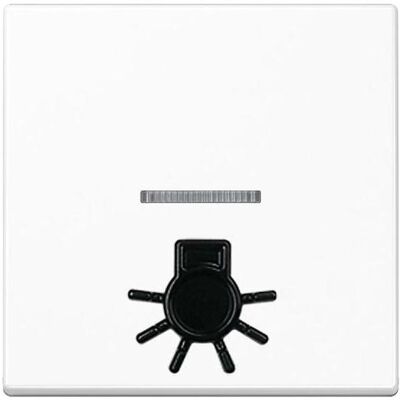 JUNG, Accessoires Gamme d'interrupteurs, Bascule de contrôle Interrupteur A aws glz lumière A590L1KOWW - Publicité JUNG, Accessoires Gamme d'interrupteurs, Bascule de contrôle Interrupteur A aws glz lumière A590L1KOWW - Publicité