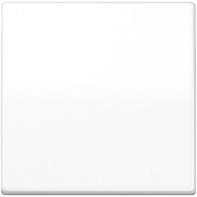 JUNG, Accessoires Gamme d'interrupteurs, Bascule interrupteur AS aws glz AS591BFSWW - Publicité JUNG, Accessoires Gamme d'interrupteurs, Bascule interrupteur AS aws glz AS591BFSWW - Publicité