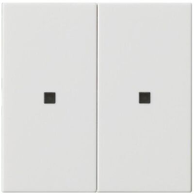 Gira, Accessoires Gamme d'interrupteurs, Bascule 2f non imprimée f. de cont. Système 55 536903 - Publicité Gira, Accessoires Gamme d'interrupteurs, Bascule 2f non imprimée f. de cont. Système 55 536903 - Publicité