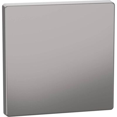 Accessoire d'interrupteur Nickel Merten - Design système - Va-et-vient & Croisement - IP20 - Publicité Accessoire d'interrupteur Nickel Merten - Design système - Va-et-vient & Croisement - IP20 - Publicité