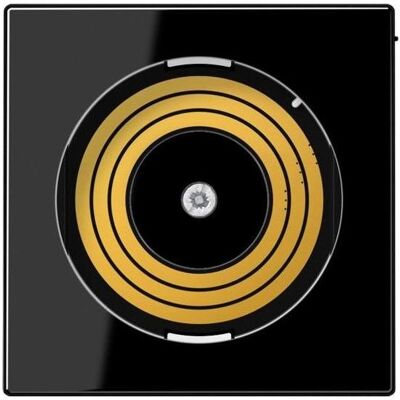 JUNG, Accessoires Gamme d'interrupteurs, Couvercle sw A Kst H55mm PLADMSSW - Publicité JUNG, Accessoires Gamme d'interrupteurs, Couvercle sw A Kst H55mm PLADMSSW - Publicité