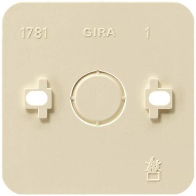 Gira, Accessoires Gamme d'interrupteurs, Panneau de montage 1f AP 008113 Blanc crème - Publicité Gira, Accessoires Gamme d'interrupteurs, Panneau de montage 1f AP 008113 Blanc crème - Publicité