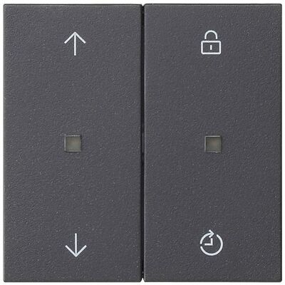 Gira 549228 - Bouton-poussoir, Interrupteur, Gris - Interrupteur - Publicité Gira 549228 - Bouton-poussoir, Interrupteur, Gris - Interrupteur - Publicité