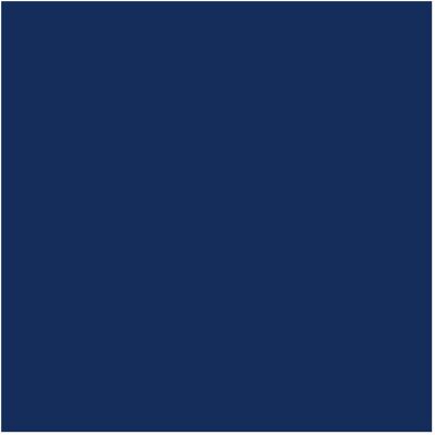 PLOTTIX PL0502019 - Feuille de vinyle bleu foncé - 31,5cm x 1m - Publicité PLOTTIX PL0502019 - Feuille de vinyle bleu foncé - 31,5cm x 1m - Publicité
