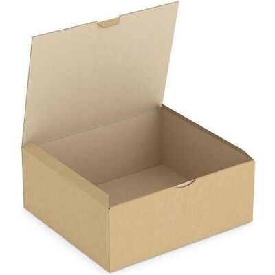 Rajapack, Emballage + boîte d'expédition, Raja Carton d'expédition à 1 cannelure Carton 230 (L) x 90 (P) x 344 (H) mm Marron (50 pcs) - Publicité Rajapack, Emballage + boîte d'expédition, Raja Carton d'expédition à 1 cannelure Carton 230 (L) x 90 (P) x 344 (H) mm Marron (50 pcs) - Publicité