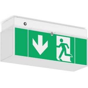 RZB, Signalisation de sécurité, Lampe de secours à LED Zimmermann 672189.002.07 - Publicité RZB, Signalisation de sécurité, Lampe de secours à LED Zimmermann 672189.002.07 - Publicité
