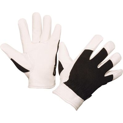 Kerbl, Gants de protection, 297173 Gant Graphix, taille 9 (9) - Publicité Kerbl, Gants de protection, 297173 Gant Graphix, taille 9 (9) - Publicité