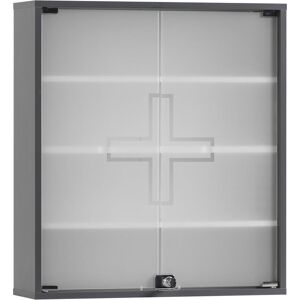 SCHILDMEYER Wido Armoire à Médicaments - Étagères Réglables - Publicité SCHILDMEYER Wido Armoire à Médicaments - Étagères Réglables - Publicité