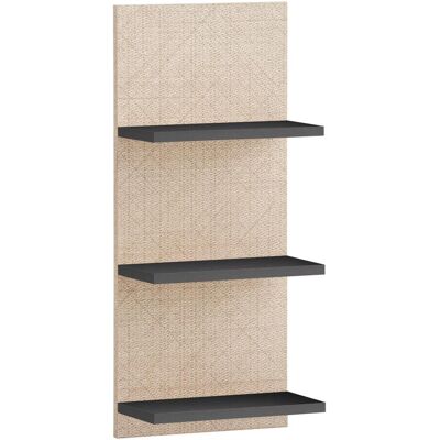 Schildmeyer, Armoire de salle de bain, Sander Regal anthrazit / Canasta Dekor (30.30 x 17.45 x 70.20 cm) - Publicité Schildmeyer, Armoire de salle de bain, Sander Regal anthrazit / Canasta Dekor (30.30 x 17.45 x 70.20 cm) - Publicité