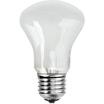 Elinchrom Lampe pilote E23002, Flash studio : accessoires, Blanc - Publicité Elinchrom Lampe pilote E23002, Flash studio : accessoires, Blanc - Publicité