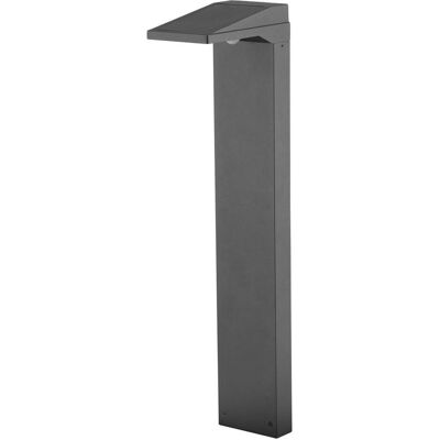 EVN WLS541502 Lampe solaire LED pour chemin - Extérieur - Publicité EVN WLS541502 Lampe solaire LED pour chemin - Extérieur - Publicité