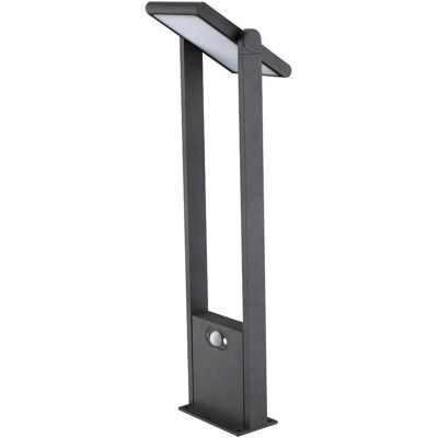 EVN Lampe solaires d’extérieur - Détecteur de mouvement - 1,6W - Blanc chaud - Publicité EVN Lampe solaires d’extérieur - Détecteur de mouvement - 1,6W - Blanc chaud - Publicité
