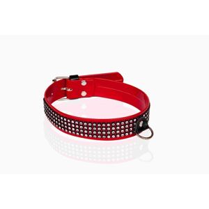 Whips, Cravate + nœud papillon, Wiązania-WHIPS lakier, obroża damska z kryształkami, czerwona, 3cm, Rouge - Publicité Whips, Cravate + nœud papillon, Wiązania-WHIPS lakier, obroża damska z kryształkami, czerwona, 3cm, Rouge - Publicité