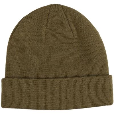 Champion, Unisexe, Bonnet, Beanie-Mütze, Vert, (Taille unique) - Publicité Champion, Unisexe, Bonnet, Beanie-Mütze, Vert, (Taille unique) - Publicité