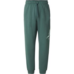 Jordan, Hommes, Pantalon, Essential Fleece Baseline Pants - 201217, Vert, (L, S) - Publicité Jordan, Hommes, Pantalon, Essential Fleece Baseline Pants - 201217, Vert, (L, S) - Publicité
