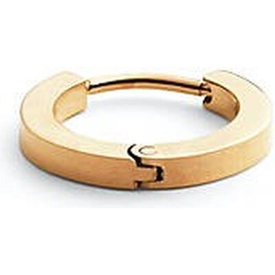 Daniel Wellington, Boucles d'oreilles, - Minimalist single earring in gold-plated steel DW00400872, (Acier) - Publicité Daniel Wellington, Boucles d'oreilles, - Minimalist single earring in gold-plated steel DW00400872, (Acier) - Publicité