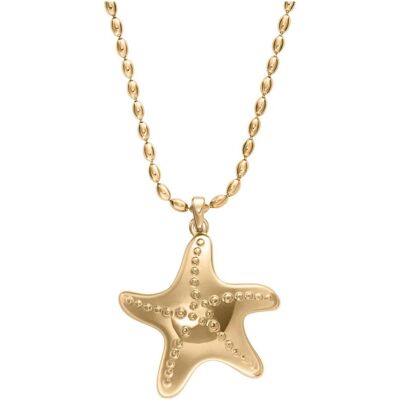 Skagen, Collier, SKJ1899710 Collier Étoile, (Acier inoxydable, 51 cm) - Publicité Skagen, Collier, SKJ1899710 Collier Étoile, (Acier inoxydable, 51 cm) - Publicité
